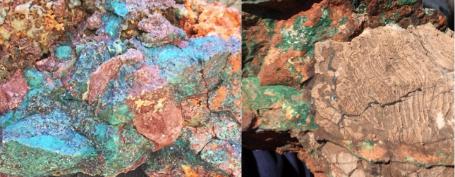 Western Star Prospect